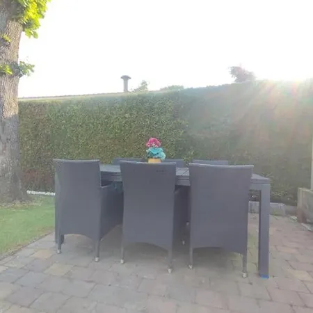 Zonnig Aan Mooie Visvijver 3*